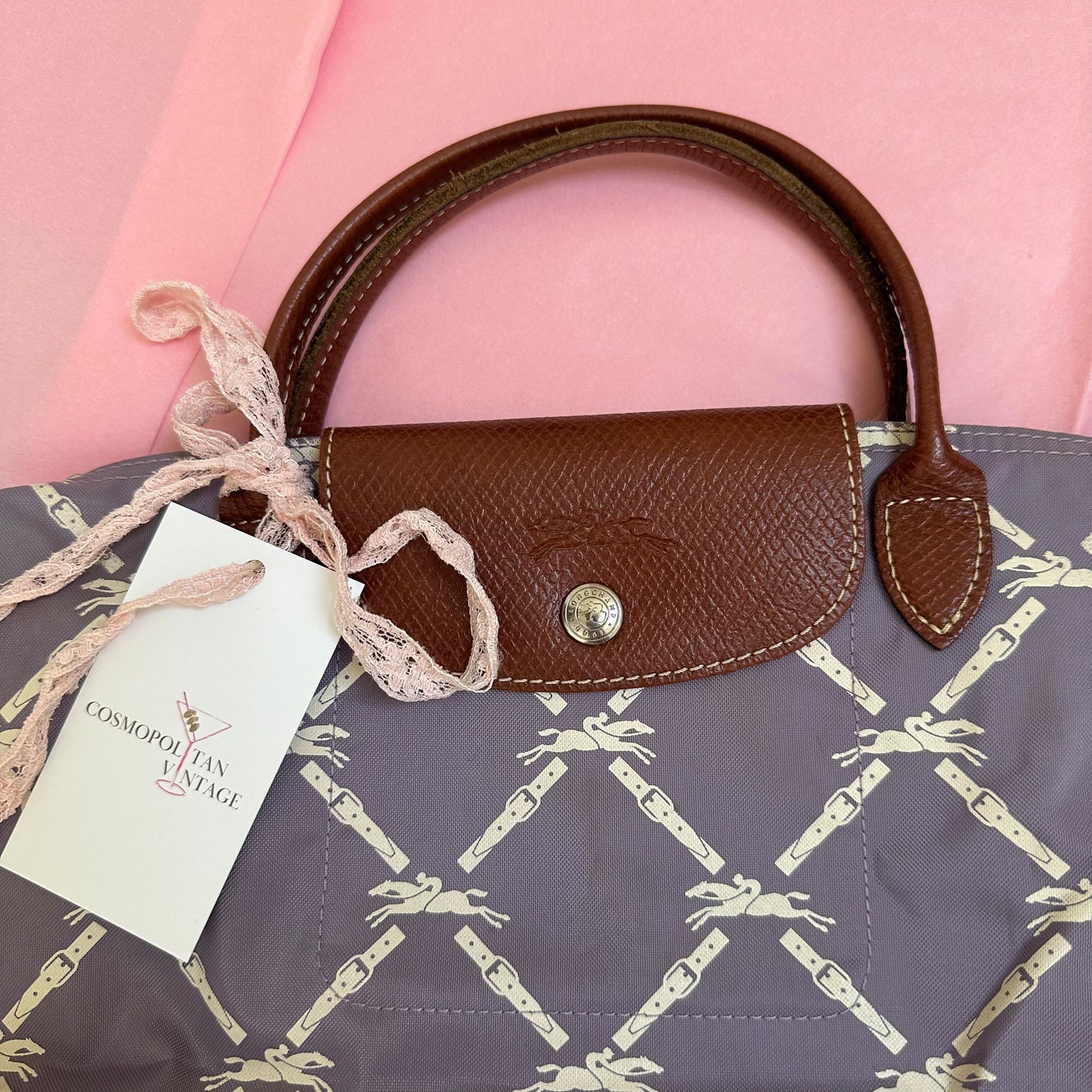 Longchamp Le Pilage Handbag