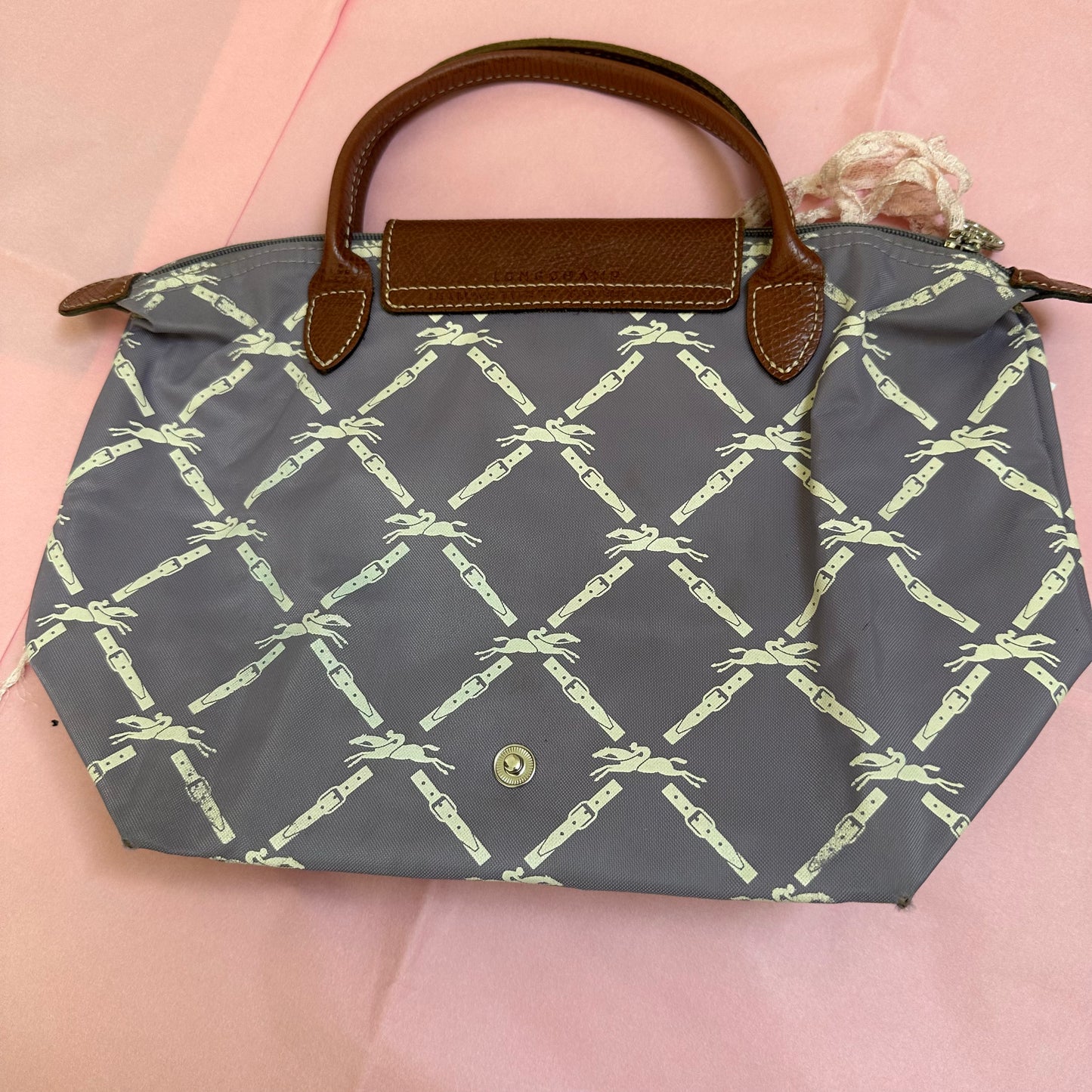 Longchamp Le Pilage Handbag