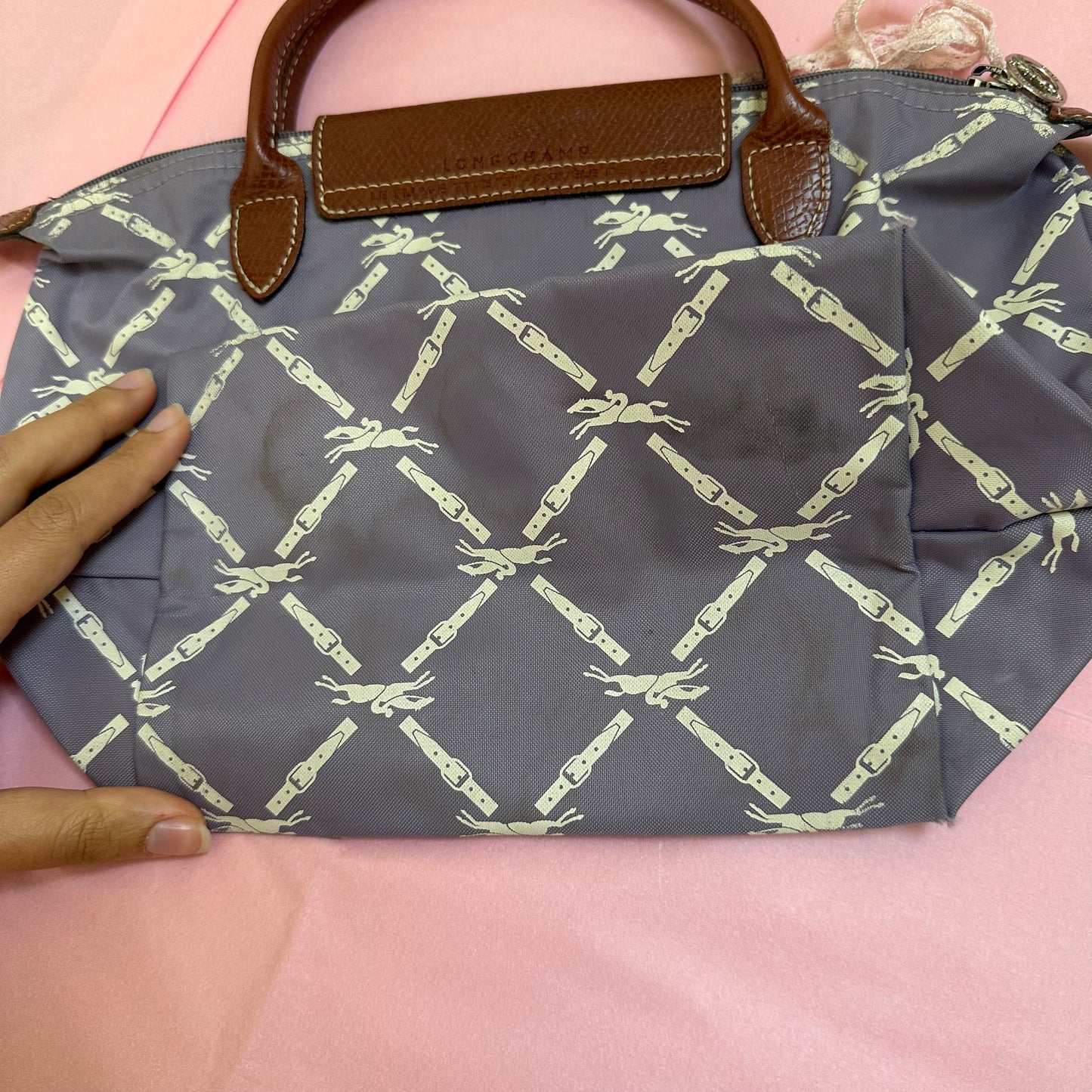 Longchamp Le Pilage Handbag