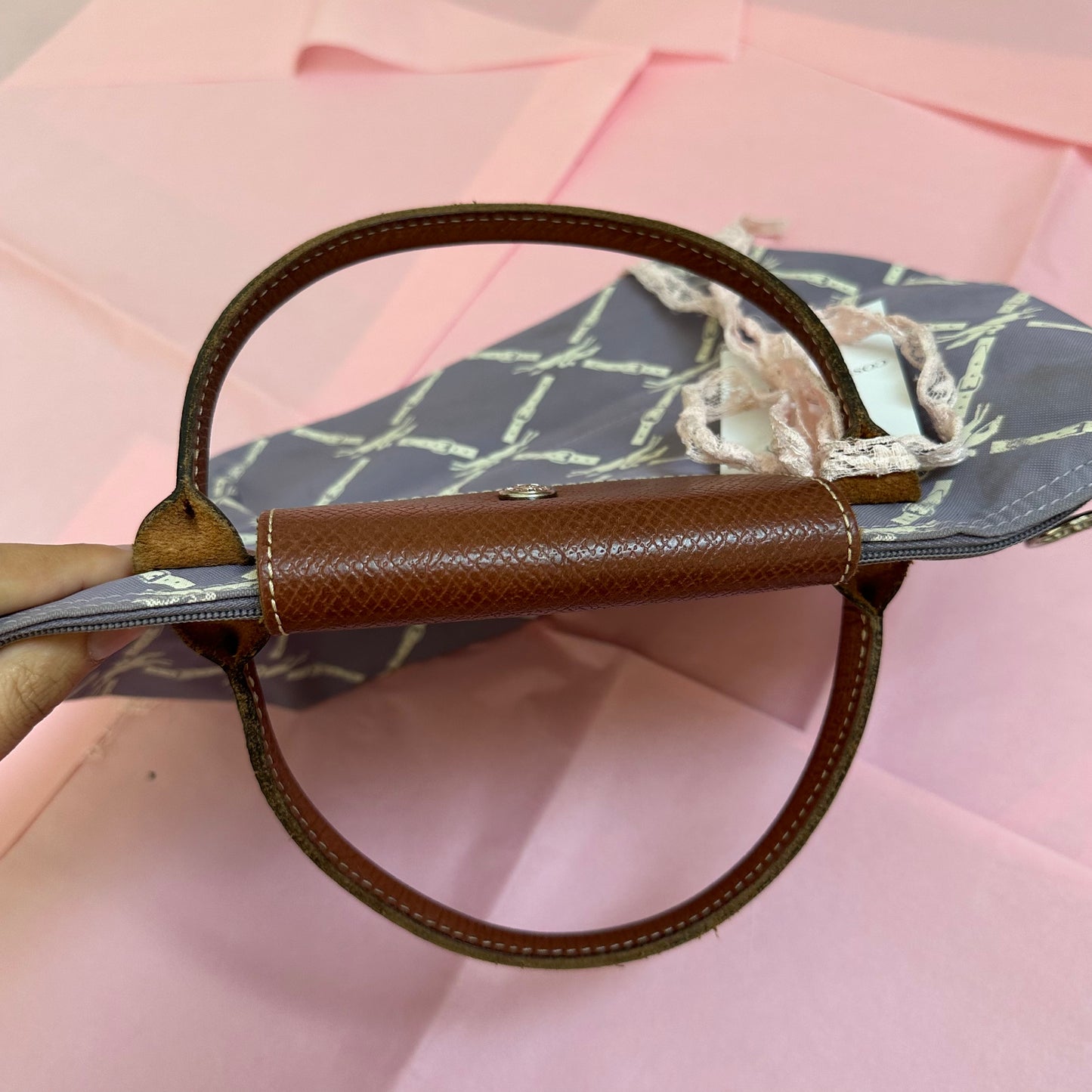 Longchamp Le Pilage Handbag