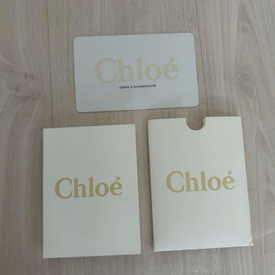 Chloé RARE Bordeaux Paddington